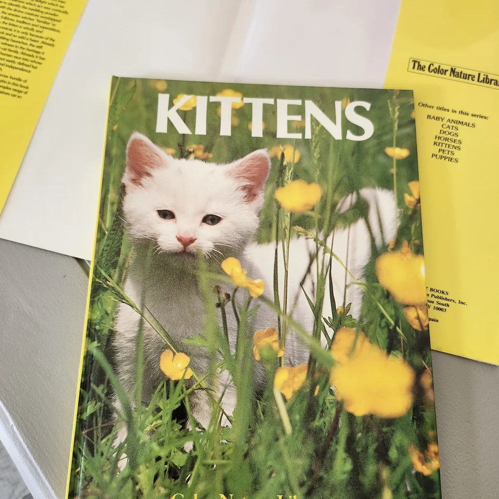 Kittens Book Cover Featuring White Kitten with Yellow Flowers